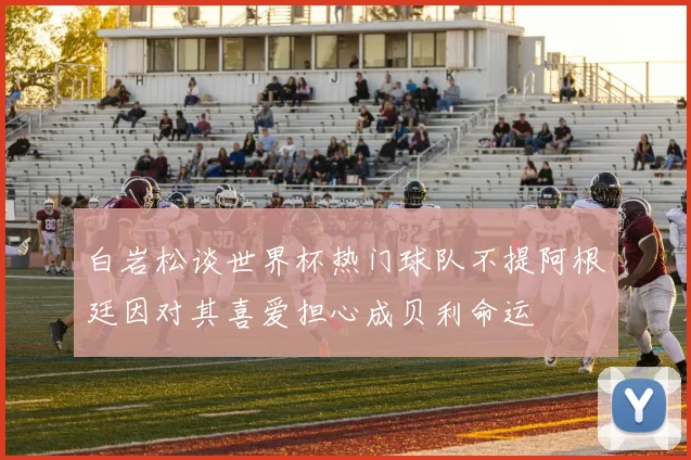 白岩松谈世界杯热门球队不提阿根廷因对其喜爱担心成贝利命运